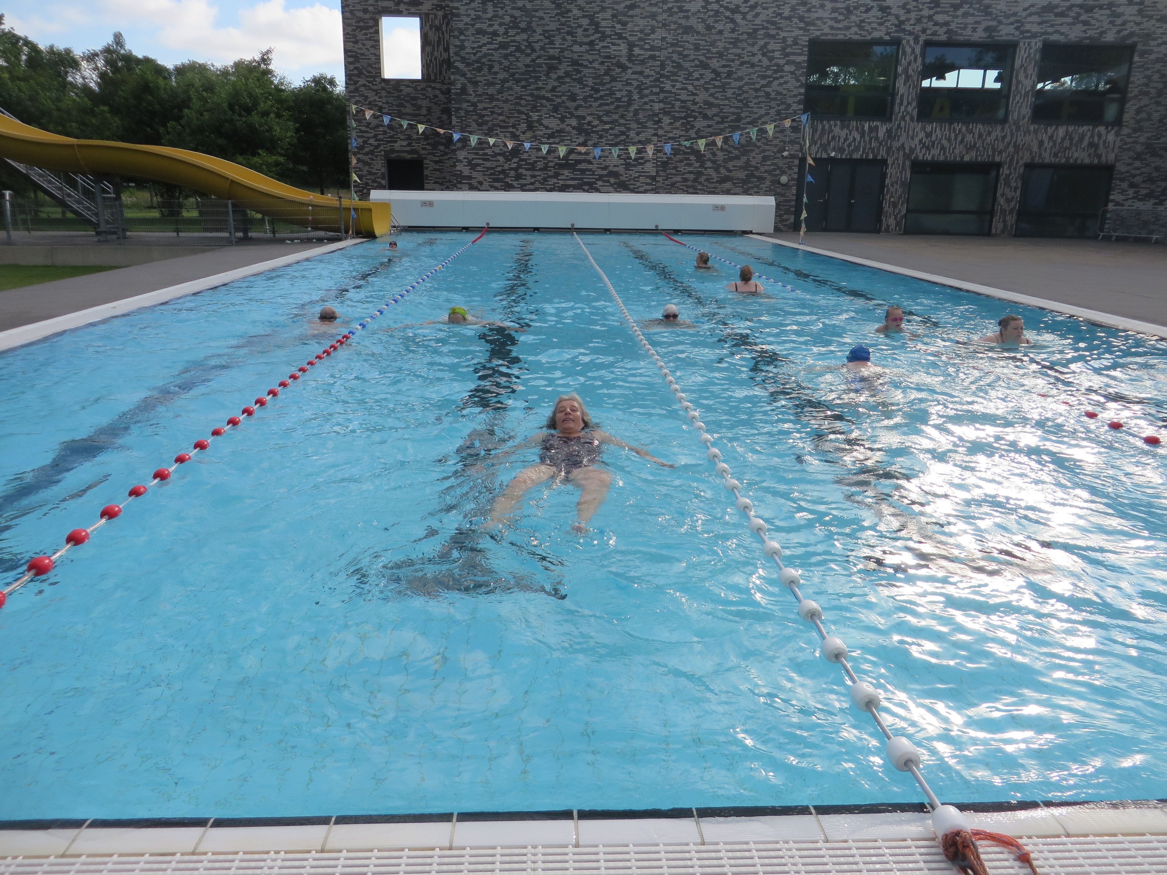 Sylvia de Nijs trekt banen in een buitenzwembad tijdens de Nationale Zwemvierdaagse 2024