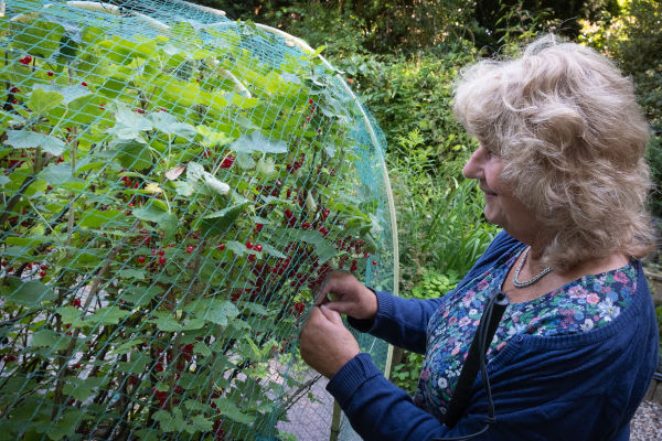 Vrouw in een moestuin