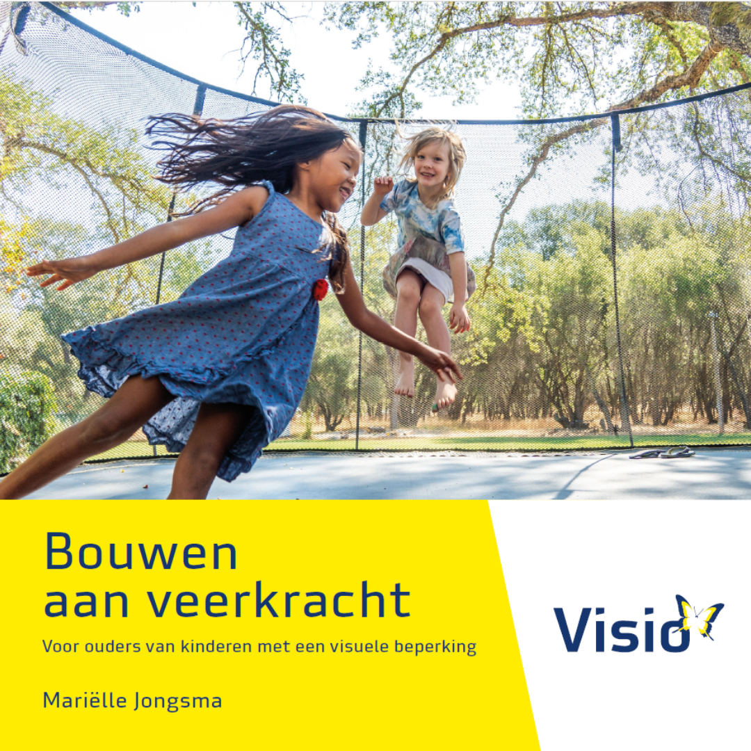 Bouwen Aan Veerkracht Omslag